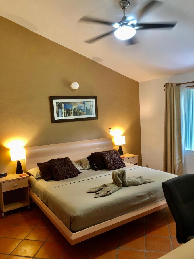ホテル Casa Mi Tesoro プレヤデルカーメン エクステリア 写真